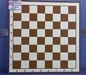 Доска шахматная 100 клеточная ПВХ, 40*40 см.