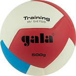 Мяч в.б "GALA Training Heavy 12" р.5