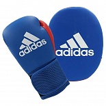 Боксерский набор (перчатки и лапы)